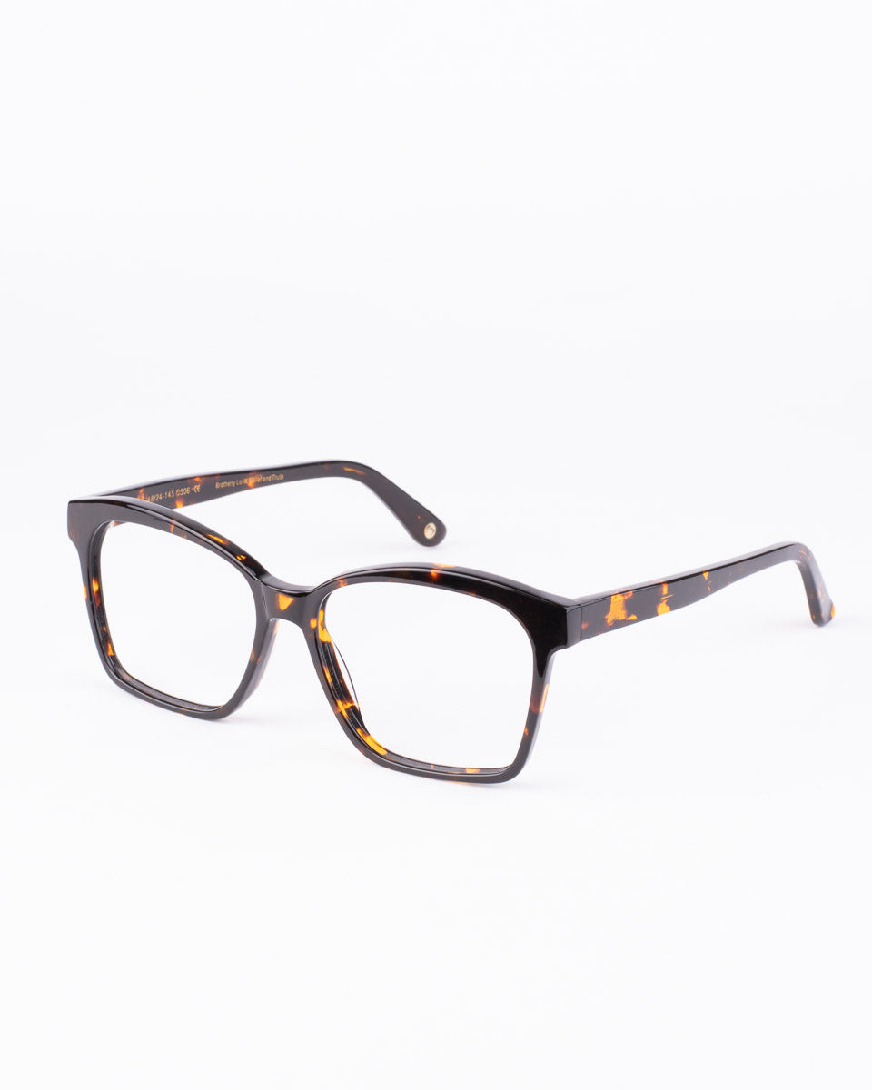 Spectacleeyeworks - stark - 506 | glasses bar