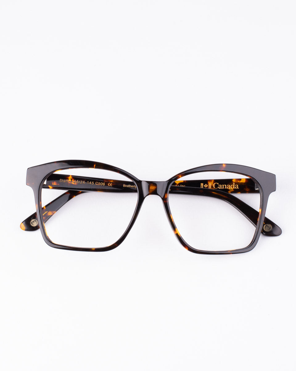 tortoise plastic butterfly eyeglasses by Spectacleeyeworks model stark, front view, lunettes de vue papillon couleur Écaille de tortue