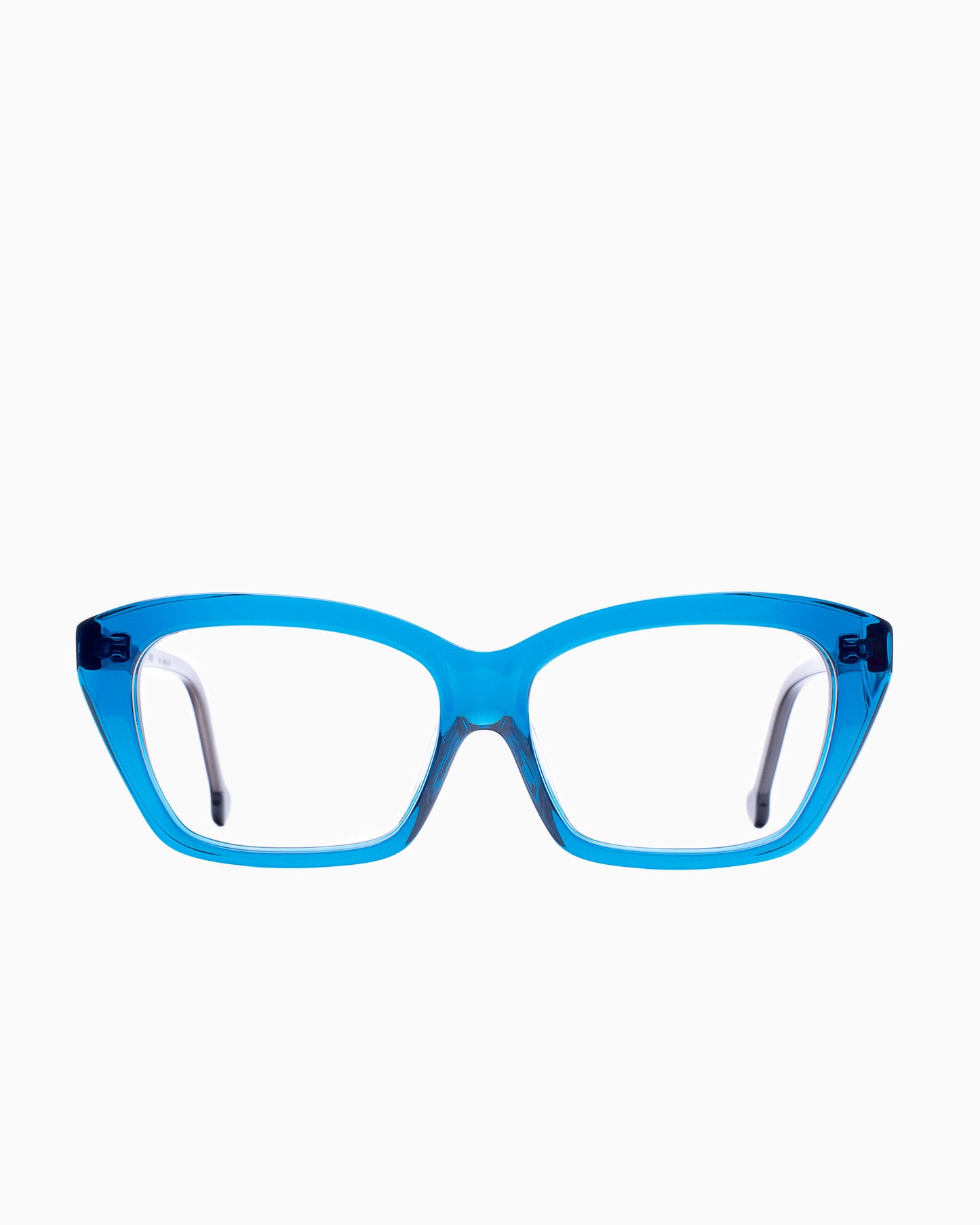 Marie-Sophie Dion - Pageau - Cur | Bar à lunettes