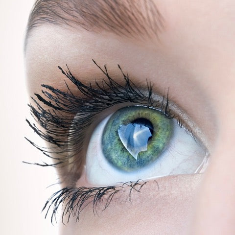 Examen de la Vue chez BAR À LUNETTES Marie-Sophie Dion